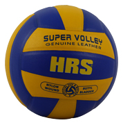 Super Volley